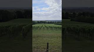 Views of Kent from the Pilgrims Way [upl. by Aldridge]