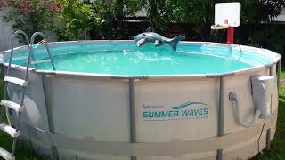 Summer Waves 16x48 pool 2 months later [upl. by Shiekh]