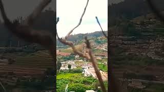 Ooty nilgiris Tamil nadu lndia  video davidgw [upl. by Shewmaker]