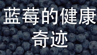 探索蓝莓的健康奇迹：为何它被称为超级食物？ [upl. by Aneetsirhc]