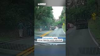 Tesla Cybertruck Crash Caught on Camera cybertruck [upl. by Trudnak]