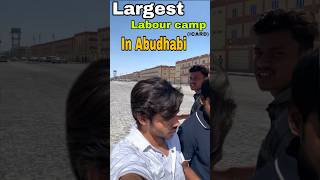 Largest labour camp in Abudhabi ICARDabudhabiculture minivlog vlog abudhabiblogger shortvideo [upl. by Naloc747]