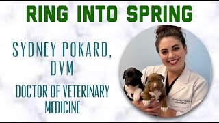 Virtual Shadowing Doctor of Veterinary Medicine [upl. by Viehmann]