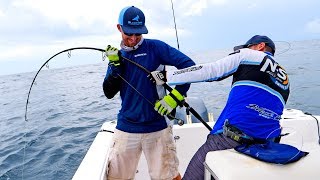 Monster Grouper Spinning Tackle Fishing Challenge [upl. by Alym]