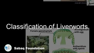 Classification Liverworts Biology Lecture  Sabaqpk [upl. by Astraea]