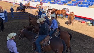 Greeley Stampede kicks off Thursday [upl. by Nawk]