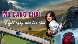 Du lịch MÙ CANG CHẢI  Ngỡ ngàng ruộng bậc thang mùa lúa chín  Tripdi 08 [upl. by Atiuqaj345]