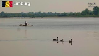 Belgian Limburg nature Belgisch Limburg natuur [upl. by Ynatterb330]