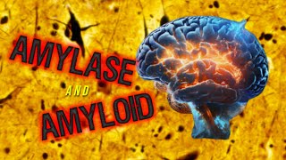 Amylase and Amyloid [upl. by Anaihsat]