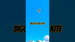 BIGGEST AND STRONGEST BEE KITE FLYINGshorts kite saranggola BEE inventor46 kalitar yankite [upl. by Lough]