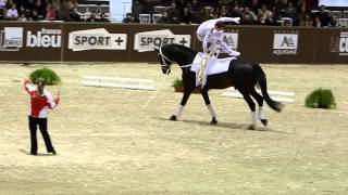 Patrick Looser  Voltige Finale Coupe du monde  Jumping International de Bordeaux [upl. by Gardas269]