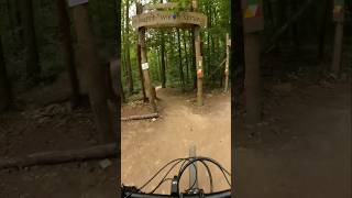 Flowtrails Mosbach  g‘hupft wie g‘sprunge  flowiger gehts nicht 😁🤙 mtb trailriding shorts [upl. by Ymerej]