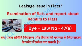 Examination of flats and report about Repairs to Flats Bye Law 47  Leakages and Repairs in Flats [upl. by Ahsirtal676]