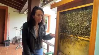 Visiting the Living History of Honey [upl. by Orva]