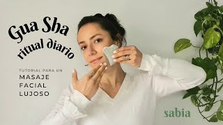 Lujoso TUTORIAL DE GUA SHA  Aprenda esta técnica de masaje holístico de belleza facial en casa [upl. by Allerbag]