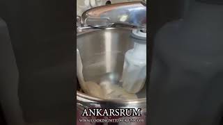 Mixing Pizza Dough With The Ankarsrum Stand Mixer pizzadough [upl. by Atolrac975]