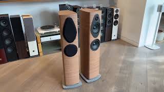 Sonus Faber Sonetto III G2  Altavoces de suelo [upl. by Esten902]