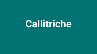 Callitriche Meaning and Pronunciation [upl. by Ariek]