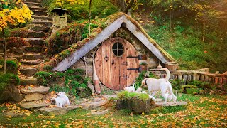 Mastering bushcraft build your own dugout in the mountains [upl. by Aylmar]