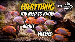 Aquarium Filters Explained The Good The Bad and The Ugly [upl. by Trebma]