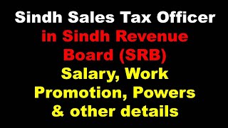 Salary Job Description Promotion of Sindh Sales Tax Officer in SRB [upl. by Eurydice]