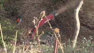 With help from a 250K grant Paso Robles is removing debris for wildfire and storm prevention [upl. by Camella]