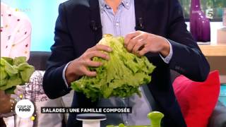 Les salades une famille composée [upl. by Dlonyer]