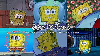 මනෝපාරට Sinhala song  Slowed Reverb Song collection sinhala  Alone slowedandreverb [upl. by Wie376]