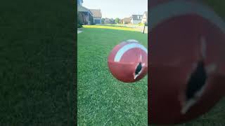 Random punt vid punters football [upl. by Theurer]