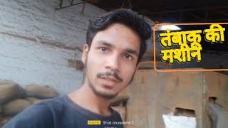 tambaku kaise banata hai  तंबाकू कैसे बनता है [upl. by Salomo]