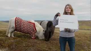 Shetland Ponies  Whats Your Natural Scotland  VisitScotland [upl. by Babette]