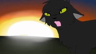 Hollyleaf AMV  A Demons Fate [upl. by Nita]