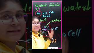 Hypotonic Solution  Biology  exam ytshorts shorts viralshort [upl. by Araet]