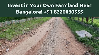 😆 buy a farmland in bangalore  top 6 things to know before buying farm land near bangalore [upl. by Adolf]