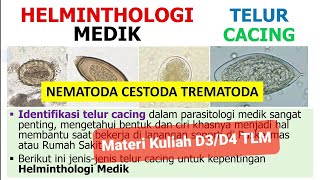 Telur Cacing  Parasitologi Medik  Helminthologi Kesehatan  Nematoda Cestoda Trematoda  TLM [upl. by Feldman]