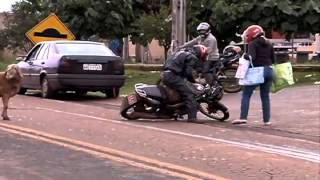 DIA DE FÃšRIA CARNEIRO ATACA PESSOAS EM FRENTE Ã€ PENITENCIÃRIA [upl. by Nnaihs87]