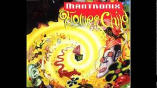 Mantronix  Flower Child Summer of Love [upl. by Aitnahc894]