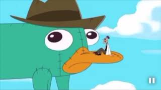 The Best quotA Platypus PERRY THE PLATYPUSquot Compilation [upl. by Namqul]