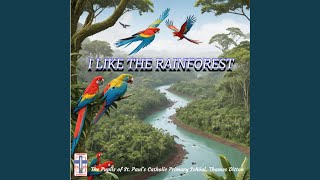 I LIKE THE RAINFOREST [upl. by Imik]