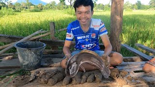 ເຜົາປາຄໍ່ອົບດິນ เผาปลาช่อนห่อดินเหนียวคนลาว laos สปปลาว เผาปลาอาหารอีสาน [upl. by Samara332]