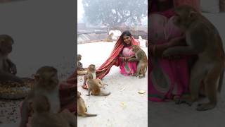 Itni kirpa sanvre banaye rakhna shreekrishnaringtone monkeyvideosforkids monkey [upl. by Kyrstin]