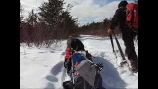 Just Hauling Toboggan 3day solo late Feb 2012 Part 1 [upl. by Calabresi212]