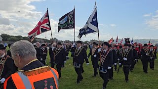 Netherton Road Flute Band  Royal Black Preceptory parade 10thAug 2024 [upl. by Ahtreb297]