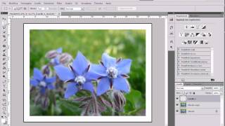 Tutorial  Bordi e cornici con Photoshop [upl. by Norat525]