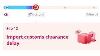 Import Customs Clearance Delay Meaning On AliExpress [upl. by Attener]