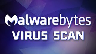 Malwarebytes Basics  How to Scan for Viruses amp Other Malware [upl. by Dewie]