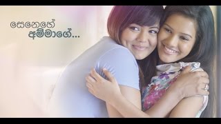 Senehe Ammage HD  Shihan Umariya kasun Nirosha සෙනෙහේ අම්මාගේ [upl. by Aniral]