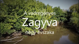 A vadregényes ZagyvaNégy évszaka [upl. by Anaer169]