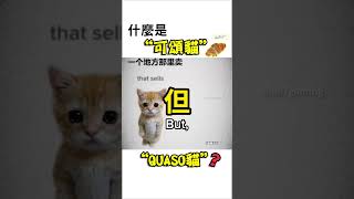 什麼是可頌貓？QUASO貓？ 可頌貓 QUASO貓 croissant 貓meme 貓貓迷因梗 迷因由來 p87gaming [upl. by Leinahtam15]