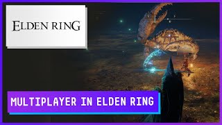 Summoning a friend in【ELDEN RING™ 】 [upl. by Sheply266]